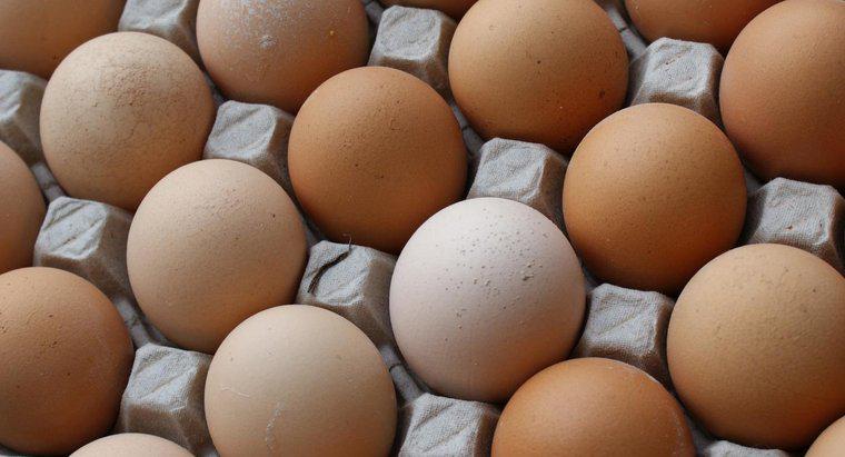 Yumurtanın Beslenme Değeri Nedir?