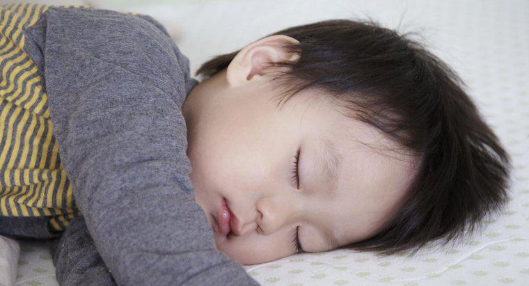 Japonlar Nelere Uyuyor?