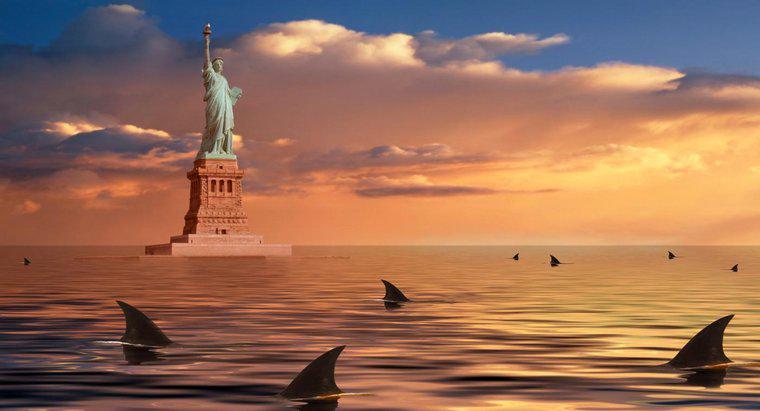 Hangisi Daha Fazla İnsan ısırır: Köpekbalıkları mı, New Yorklular mı?