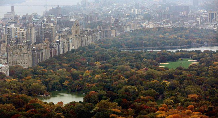 New York'taki Central Park'ın büyüklüğü nedir?