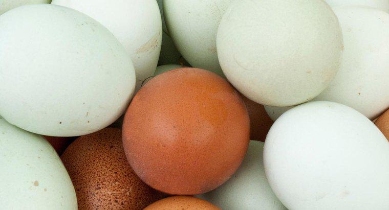 Kanlı Yumurta Bulma Hakkında Batıl inanç Nedir?