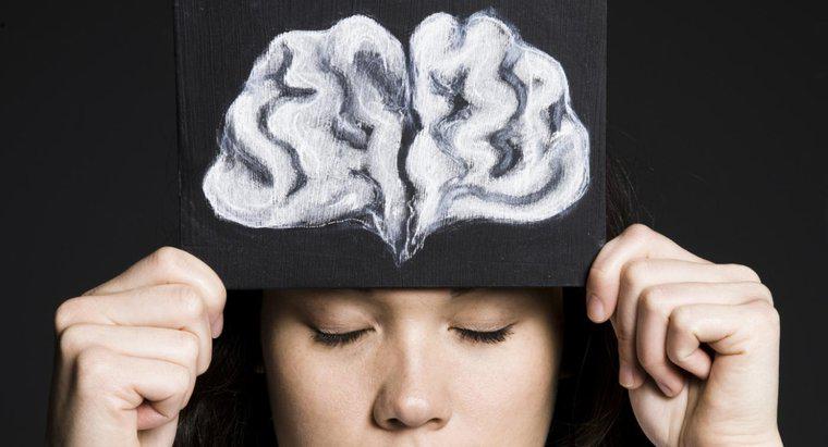 Brain'in Frontal Lobunun İşlevi Nedir?
