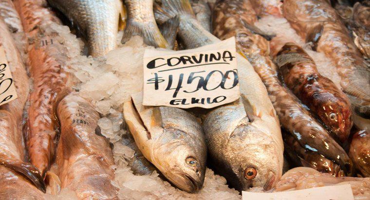 Corvina Balıkları Nasıl Pişirilir?