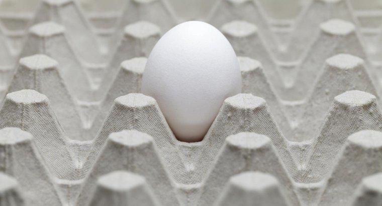 Evde çürük yumurta kokusuna ne sebep olur?
