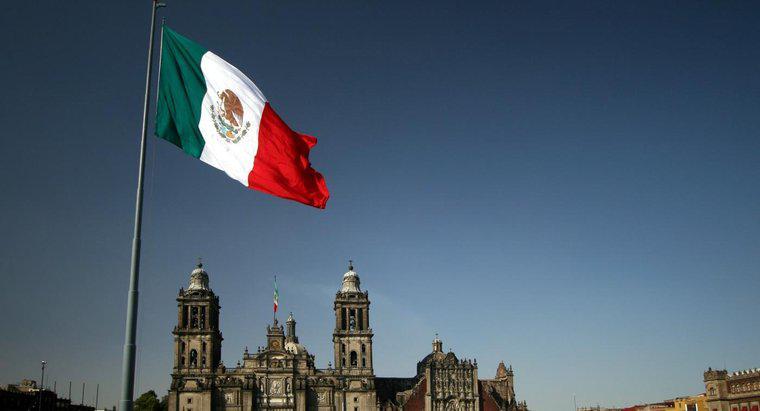 Meksika'da Yarım Küre Nedir?
