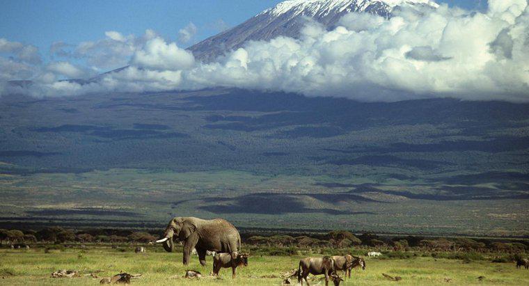 Kilimanjaro Dağı Nasıl Oluştu?