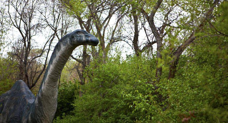 Brontosaurus'un Adı Neden Apatosaurus'ta Değiştirildi?