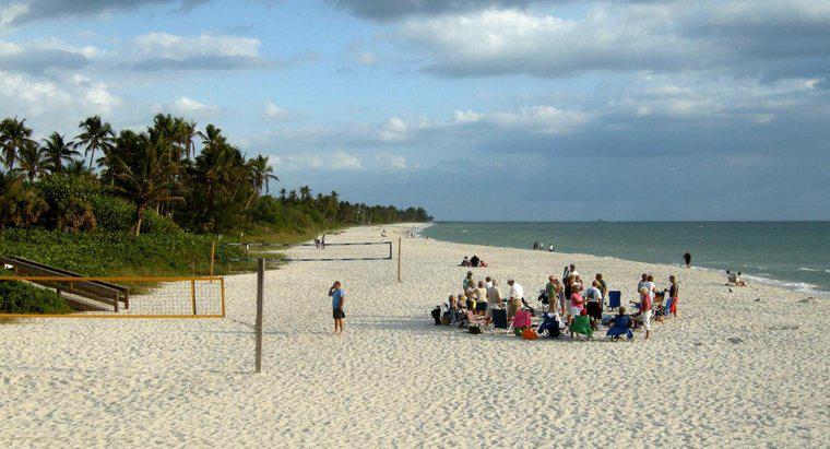 Florida'nın Batı Kıyısındaki En İyi Plajlar Nelerdir?