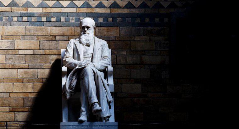 Charles Darwin Ne İçin Ünlüdür?