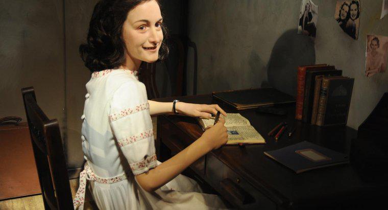 Anne Frank, Tarih İçin Neden Önemli?