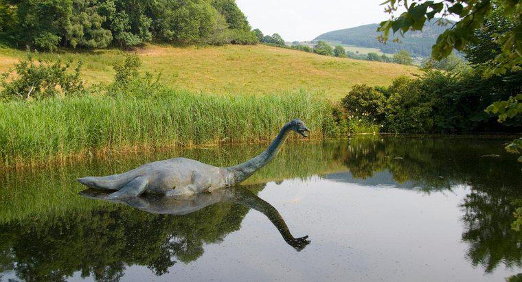 Loch Ness Canavarı nerede yaşıyor?