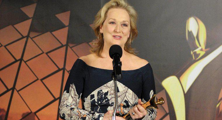 Meryl Streep Kariyeri boyunca kaç ödül kazandı?