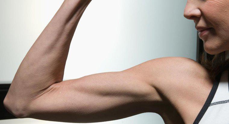 Pazı ve Triceps Kolunu Nasıl Kaldırır
