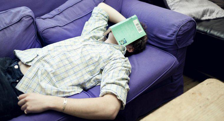 İnsanlar Okurken Neden Uyuyor?