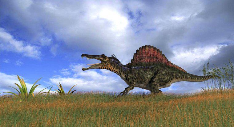 En Büyük Etçil Dinozor Neydi?