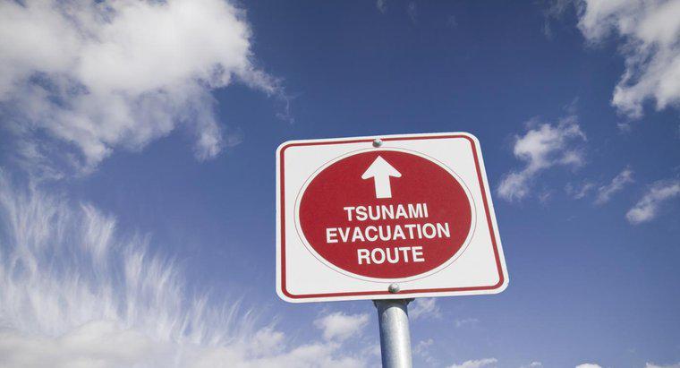 Bir Tsunami'ye Nasıl Hazırlanırsınız?