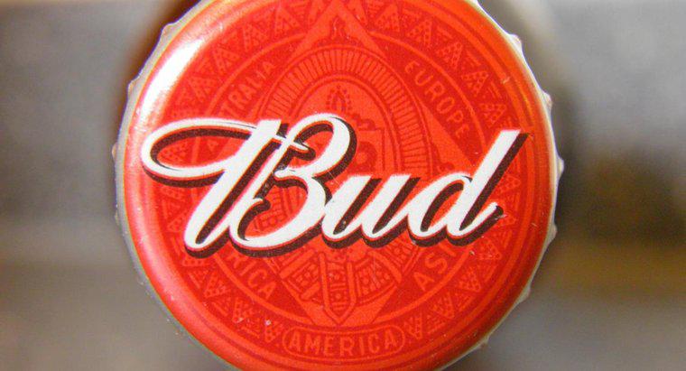 Budweiser Beer'de Ne Kadar Alkol Var?