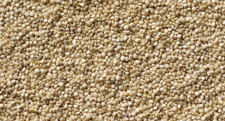 Quinoa'nın Amino Asit İçeriği Nedir?
