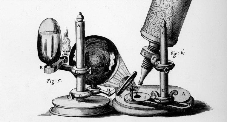 Robert Hooke'un Katkısı Neydi?