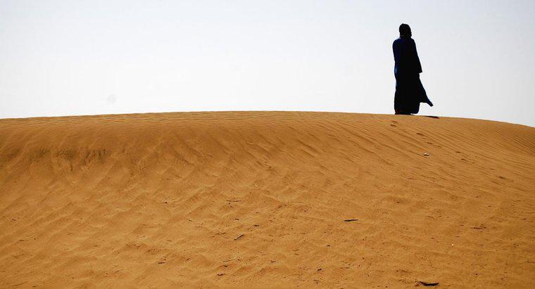 Yaz aylarında Sahra Çölü'nde Ne Kadar Sıcak Olabilir?