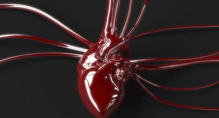 Arteriyel ve Venöz Kan Arasındaki Fark Nedir?