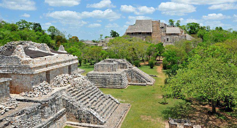 Maya Hükümetinin Yapısı Neydi?