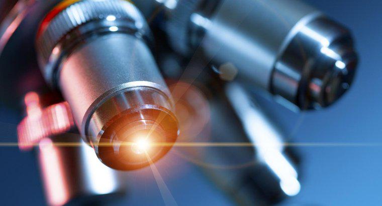Işık Mikroskobu Ne İçin Kullanılır?