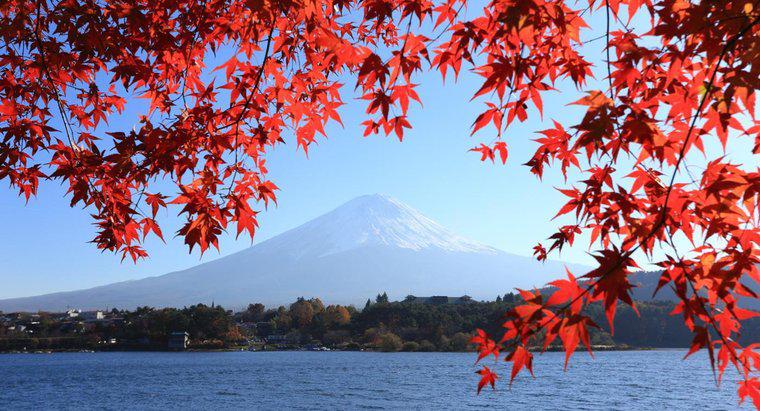 Fuji Dağı Nasıl Oluştu?