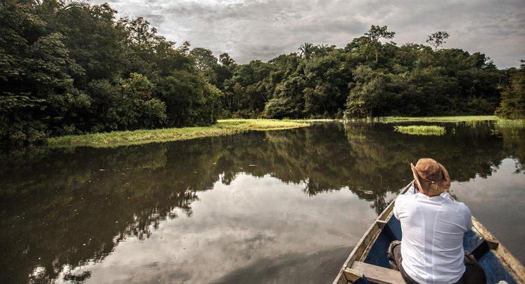 Amazon nehri ne kadar derin?