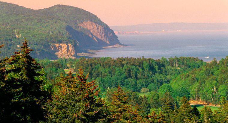 Fundy Körfezi Ulusal Parkı nerede?