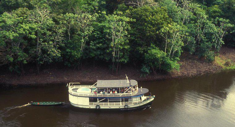 İnsanlar Amazon Nehri'ni Nasıl Kullanıyor?