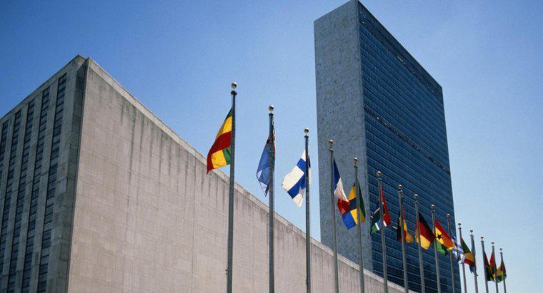 Birleşmiş Milletler Neden Kuruldu?