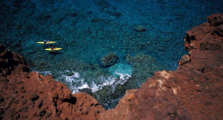 Mercan Resifi için Toprak Türü Nedir?