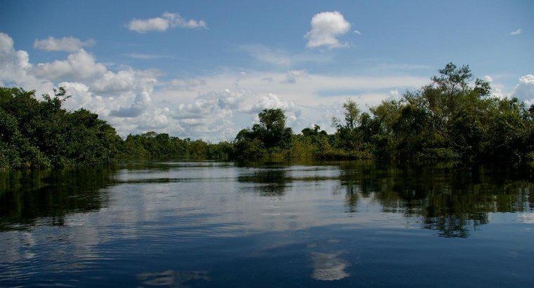 Amazon nehrinin kullanım alanları nelerdir?