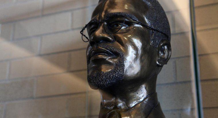 Malcolm X Ünlüler İçin Nelerdir?