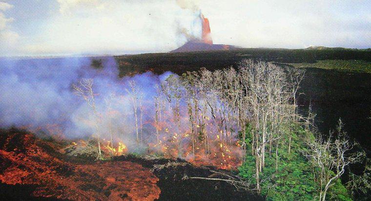 Kilauea Erüpsiyonunda Kaç Kişi Öldü?