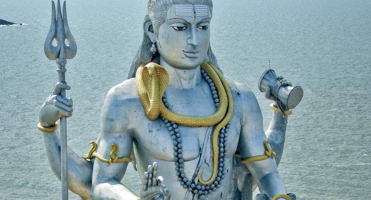 Shiva Neden Dört Koluna Sahip?