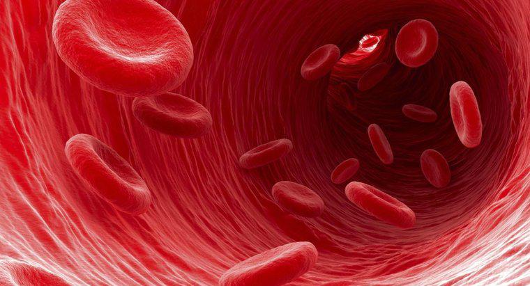 Çok Kırmızı Kan Hücresiniz Varsa Ne Olur?