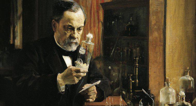 Louis Pasteur'ün kız veya erkek kardeşi var mıydı?