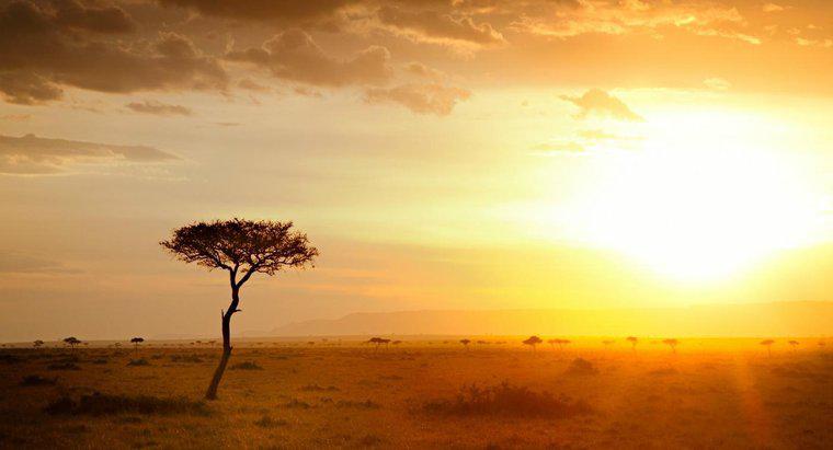 Afrika'da İklim Nedir?