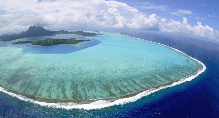 Halka Şeklinde Mercan Adası Denilen Nedir?