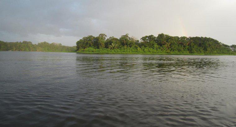 Amazon Nehri Neden Önemli?