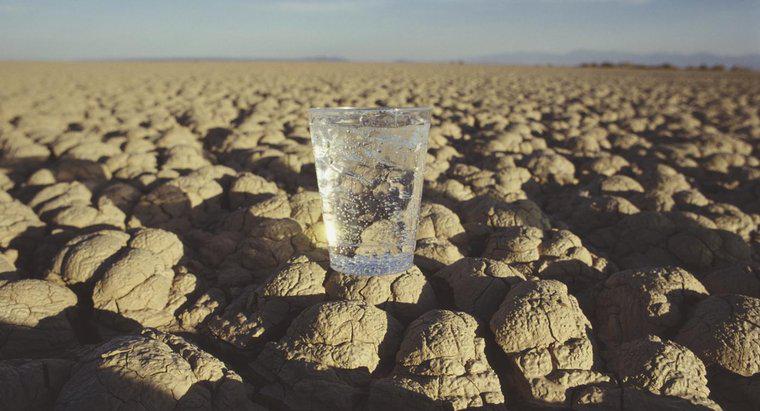 Bir insan su olmadan hayatta kaç gün yaşayabilir?