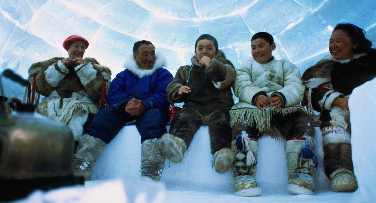 İnsanlar Kuzey Kutbu'na Nasıl Uyum Sağlar?