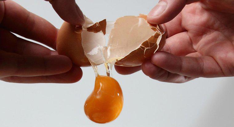 Yumurta Şampuanı Nasıl Yapılır?