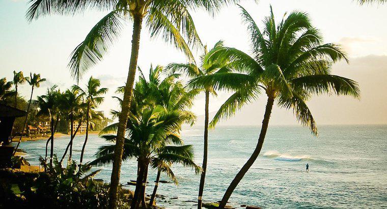 Hawaii ile İlgili Bazı Eğlenceli Gerçekler Nelerdir?