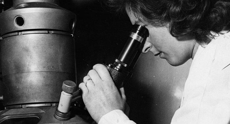 Elektron Mikroskobunu kim icat etti?