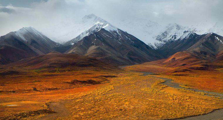 Tundra'ya İnsan Etkisi Nedir?