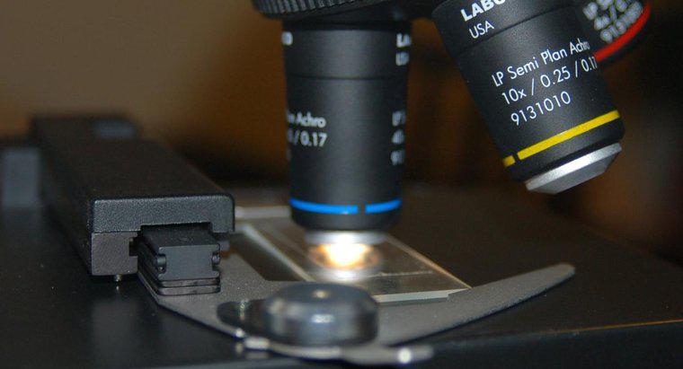 Mikroskop Üzerinde Diyafram Nedir?