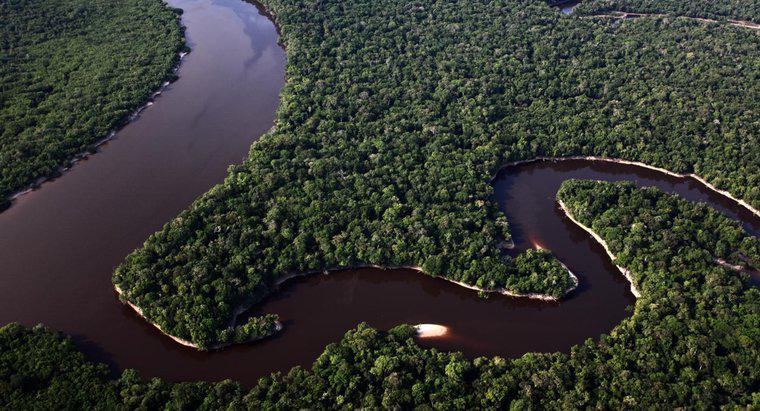 Amazon Nehri Ne Kadar Geniş?